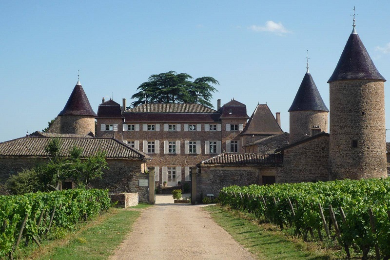 Routes des vins du Mâconnais Audioguide Historique