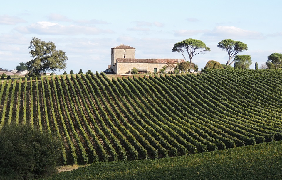 Route des vins de l'Entre-Deux-Mers en voiture Audioguide Historique