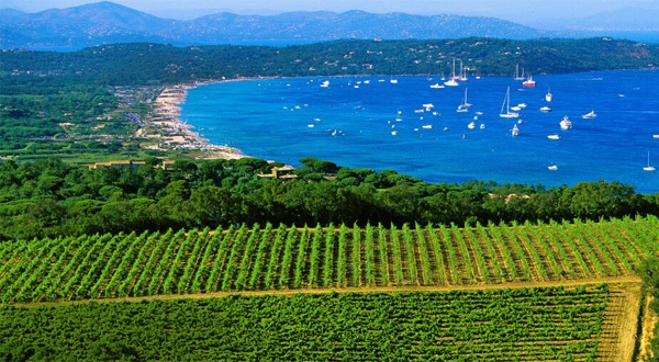 Routes des vins de Provence 