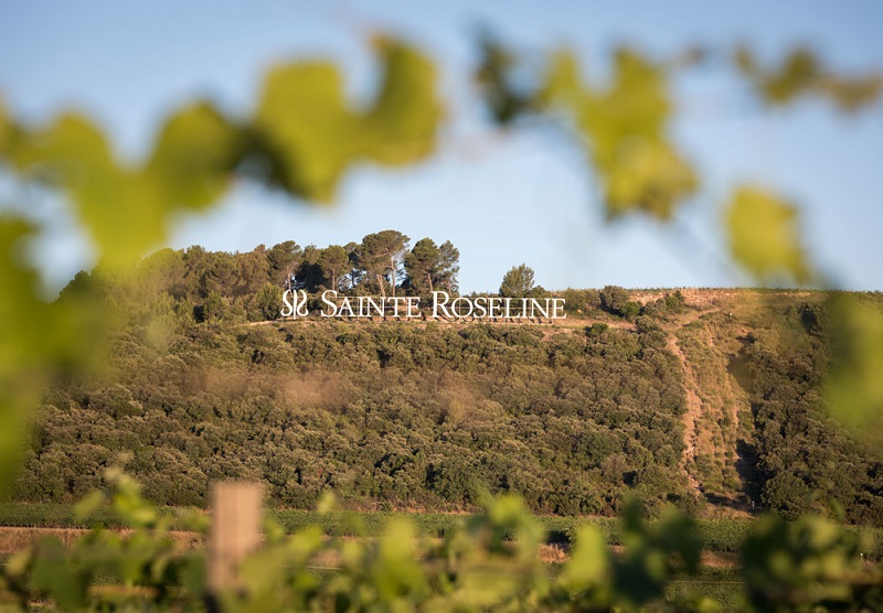 Routes des vins de la Dracénie