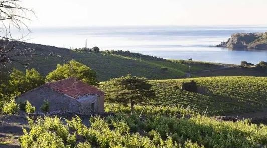 Route des vins du Languedoc Roussillon