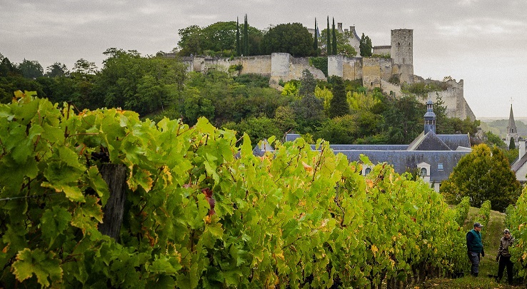 Route des vins de Touraine
 Audioguide Historique