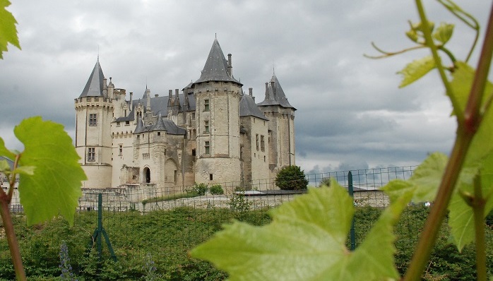 Route des vins de la vallée de la Loire 