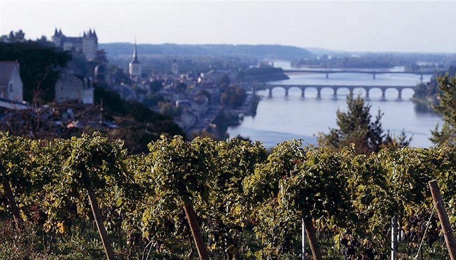 Route des vins d'Anjou