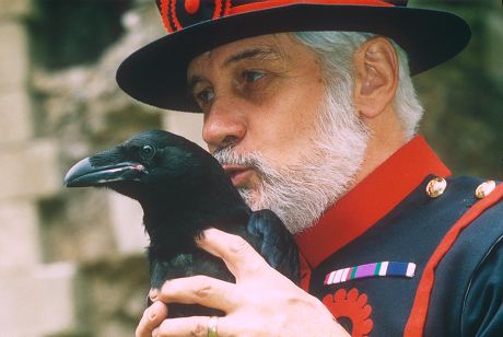 Les corbeaux de la London Tower  Audioguide Histoire